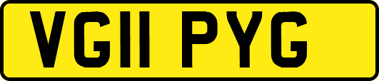 VG11PYG