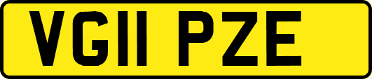 VG11PZE