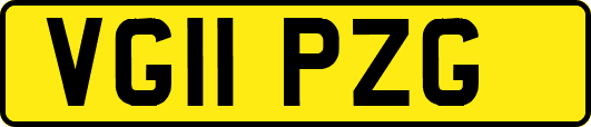 VG11PZG
