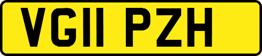 VG11PZH