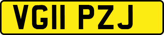 VG11PZJ