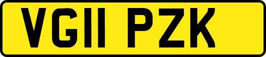 VG11PZK