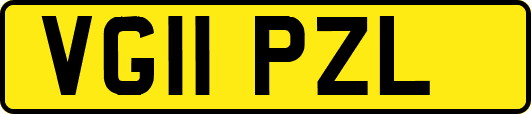 VG11PZL