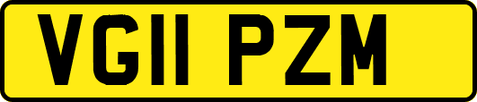 VG11PZM