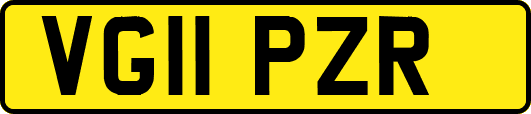 VG11PZR