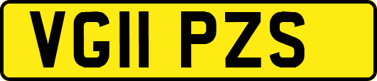 VG11PZS
