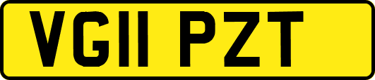 VG11PZT