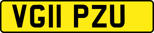 VG11PZU