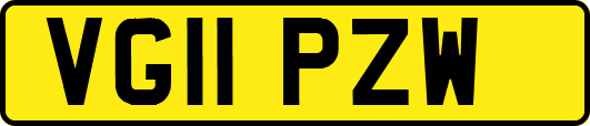 VG11PZW