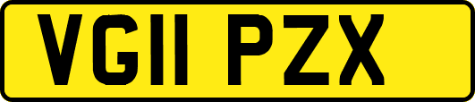 VG11PZX