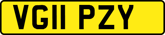 VG11PZY