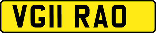 VG11RAO