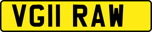 VG11RAW
