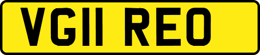 VG11REO