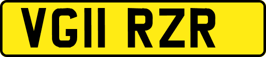 VG11RZR