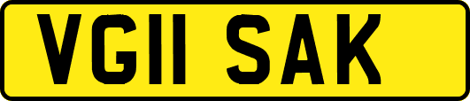 VG11SAK