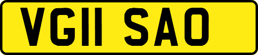 VG11SAO