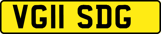 VG11SDG
