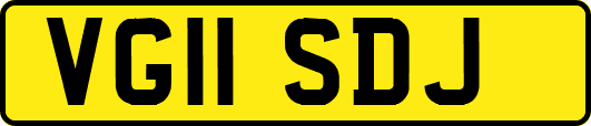 VG11SDJ
