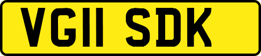 VG11SDK