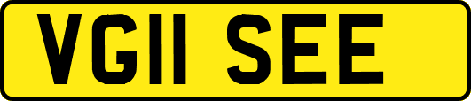 VG11SEE