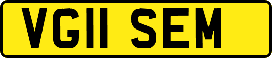 VG11SEM