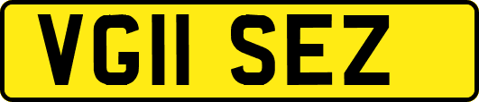 VG11SEZ