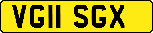 VG11SGX