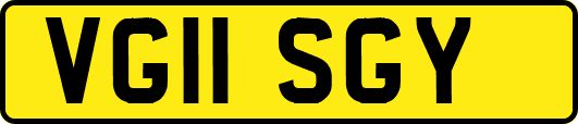 VG11SGY