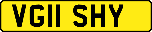 VG11SHY