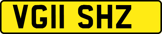 VG11SHZ
