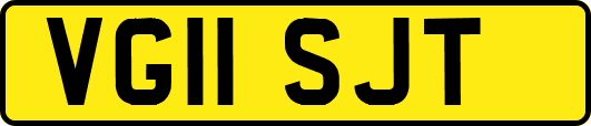 VG11SJT
