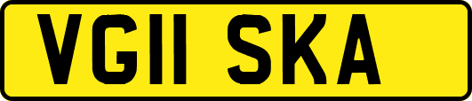 VG11SKA