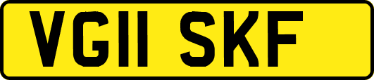 VG11SKF