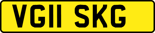 VG11SKG