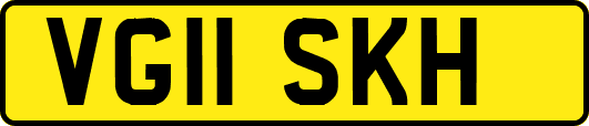 VG11SKH