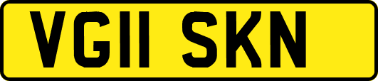 VG11SKN