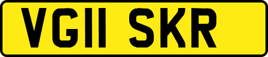 VG11SKR