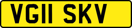VG11SKV