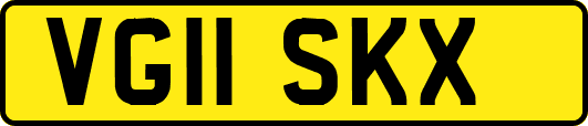 VG11SKX