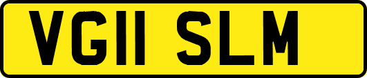 VG11SLM
