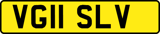 VG11SLV
