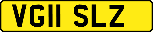 VG11SLZ