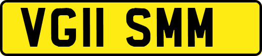VG11SMM