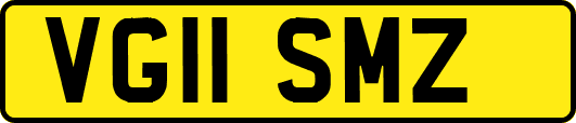 VG11SMZ