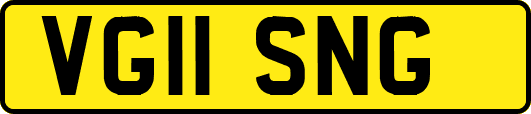 VG11SNG