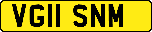 VG11SNM