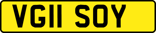 VG11SOY