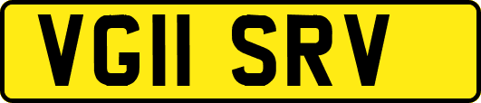 VG11SRV