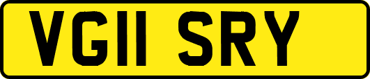 VG11SRY